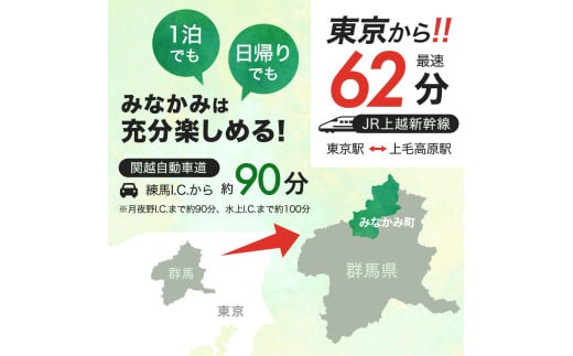 群馬県みなかみ町のふるさと納税 ふるさと納税感謝券「MINAKAMI HEART TICKET」9,000円分（1000円分 × 9枚） 群馬県 みなかみ町 旅行 温泉 アウトドア スキー グルメ キャンプ ゴルフ 体験 飲食店 観光 旅館 宿泊 ホテル