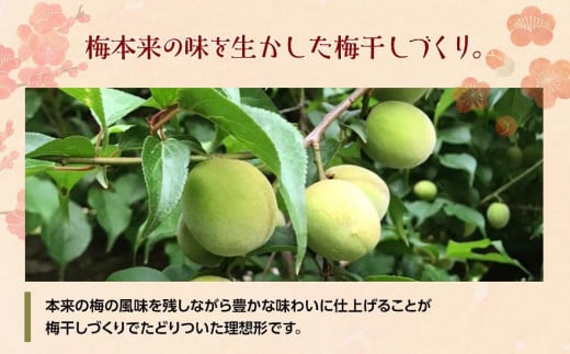 和歌山県上富田町のふるさと納税 紀州産 南高梅 樽底 つぶれ梅 しそ風味 800g 400g × 2パック 梅干し 梅干 うめぼし