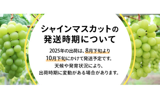 2025年先行予約】ジューシーで甘さ抜群 厳選シャインマスカット