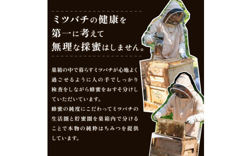 もね　日本みつばち巣蜜　コムハニー　900g 楽天市場】【2025年新蜜】国産純粋 巣みつ（巣蜜・コムハニー