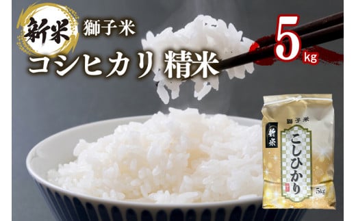 【3月発送】獅子米 コシヒカリ 精米 5kg 岡田ファーム コンテスト受賞米 お米 白米 米 おこめ ブランド米 こしひかり 5キロ 国産 単一原料米 コメ こめ ご飯 銘柄米 茨城県産 茨城 産直 産地直送 農家直送 ごはん 家庭用 贈答用 お取り寄せ ギフト 茨城県 石岡市 (B02-037)