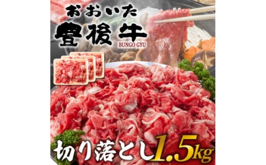 訳あり!おおいた豊後牛切り落とし 1.5kg(500g×3P)(日出町)【1571555】