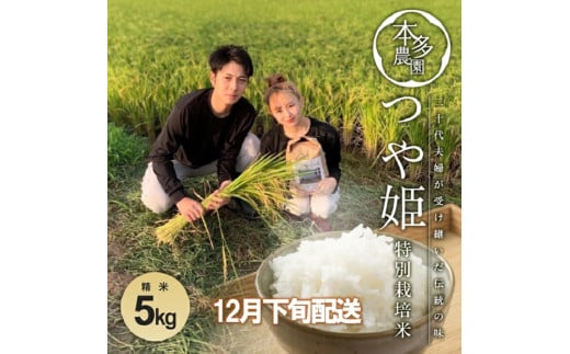 SA2473　12月下旬配送／令和6年産【精米】特別栽培米 つや姫　5kg 農家直送 HO