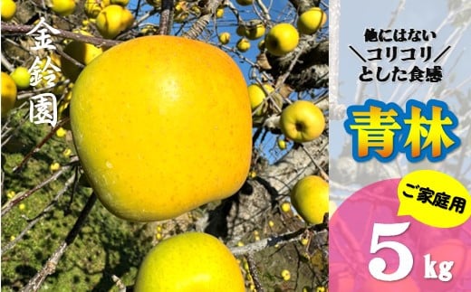 予約受付 / 数量限定【北上市産 りんご 】青林 ( セイリン ) 【 家庭用 】 5キロ (約13～20玉)  (11月下旬発送予定) 林檎 リンゴ 国産 産地直送 フルーツ 果物 岩手県 北上市 D0446