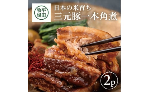 SA2426　【平田牧場】 三元豚 一本角煮 180g×2パック