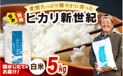 【年内配送】令和6年産 愛情たっぷり健やかに育った ヒカリ新世紀（白米）5kg [m29-a007]