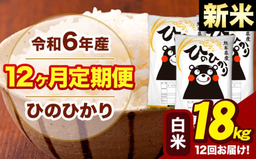 新米 令和6年産 【12ヶ月定期便】 早期先行予約受付中 白米 米 ひのひかり 18kg《お申し込み月の翌月から出荷開始》熊本県 大津町 国産 熊本県産 白米 送料無料 ヒノヒカリ こめ お米