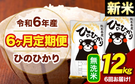 新米 令和6年産 【6ヶ月定期便】  早期先行予約受付中 無洗米 米 ひのひかり 12kg《お申し込み月の翌月から出荷開始》熊本県 大津町 国産 熊本県産 無洗米 送料無料 ヒノヒカリ こめ お米