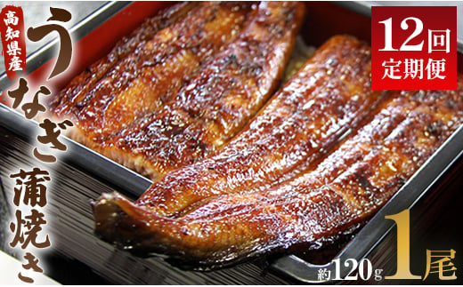 【12回定期便】うなぎ屋きた本 うなぎ蒲焼き120g 1尾(無頭) Wun-0022