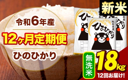 新米 令和6年産 【12ヶ月定期便】  早期先行予約受付中 無洗米 米 ひのひかり 18kg《お申し込み月の翌月から出荷開始》熊本県 大津町 国産 熊本県産 無洗米 送料無料 ヒノヒカリ こめ お米