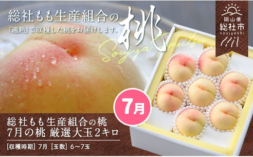 7月の桃（厳選大玉約2kg）岡山県総社もも生産組合【2025年産先行予約】25-050-002 1321879 - 岡山県総社市