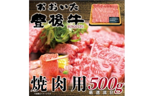 おおいた豊後牛焼肉用 500g(日出町)【1571606】