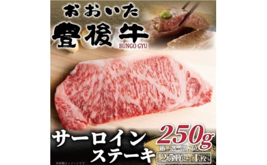 おおいた豊後牛サーロインステーキ 250g(250g×1枚)(日出町)【1571521】 1585837 - 大分県日出町