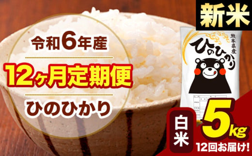 新米 令和6年産 【12ヶ月定期便】 早期先行予約受付中 白米 米 ひのひかり 5kg《お申し込み月の翌月から出荷開始》熊本県 大津町 国産 熊本県産 白米 送料無料 ヒノヒカリ こめ お米