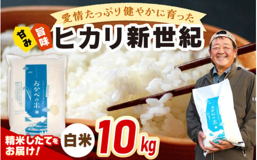 【年内配送】令和6年産 愛情たっぷり健やかに育った ヒカリ新世紀（白米）10kg [m29-a008]