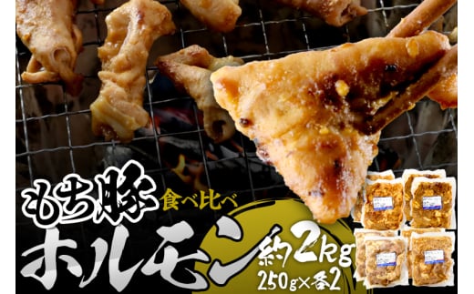 群馬県産もち豚ホルモン 4種の味付け食べ比べセット 約2kg（250g×4種各2）群馬県 特産品 252578 - 群馬県沼田市