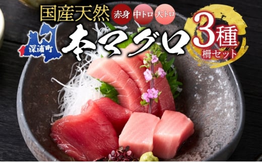 天然 本マグロ 赤身 中トロ 大トロ 3種セット 国産 本鮪 まぐろ マグロ クロマグロ 鮪 刺身 丼ぶり 寿司 海鮮 魚介 贅沢 お取り寄せ 詰め合わせ グルメ 産地直送 送料無料 冷凍 あおもり海山 青森県 深浦町 283726 - 青森県深浦町