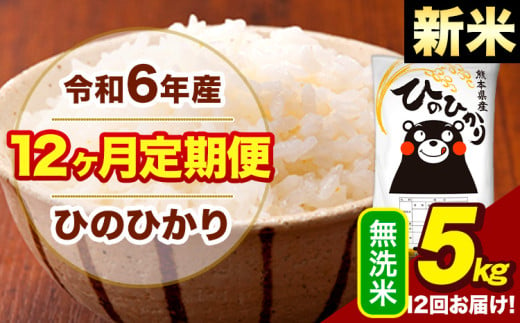 新米 令和6年産 【12ヶ月定期便】  早期先行予約受付中 無洗米 米 ひのひかり 5kg《お申し込み月の翌月から出荷開始》熊本県 大津町 国産 熊本県産 無洗米 送料無料 ヒノヒカリ こめ お米 1582618 - 熊本県大津町