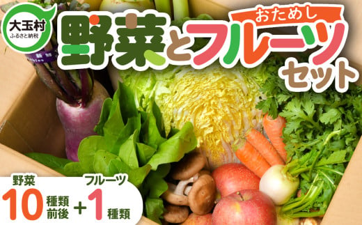 《先行予約》野菜 と フルーツ セット ｜旬の野菜10種類前後と果物1種類《2025年6月以降順次発送》｜ 野菜 詰め合わせ 果物 旬 おためし 大玉村 SDGs 野菜セット 送料無料 8000円 10000万円 BBQ バーベキュー 冬野菜 旬 さくらんぼ 梨 りんご 白菜 里芋 さといも 玉ねぎ ほうれん草 しいたけ 椎茸 大根 ねぎ ｜ OT01-001