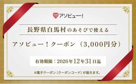 [白馬村]アソビュー!ふるさと納税クーポン(3,000円分) 体験・アクティビティ・レジャー 長野県