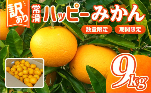 【訳あり】常滑ハッピーみかん 1499890 - 愛知県常滑市