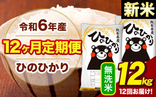 新米 令和6年産 【12ヶ月定期便】  早期先行予約受付中 無洗米 米 ひのひかり 12kg《お申し込み月の翌月から出荷開始》熊本県 大津町 国産 熊本県産 無洗米 送料無料 ヒノヒカリ こめ お米 1582659 - 熊本県大津町