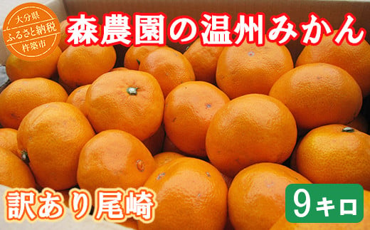 【訳あり品】森農園の温州みかん 尾崎 9kg ／ ミカン みかん 柑橘 9kg 柑橘類 訳あり 先行予約 12月 年内発送 年内配送 温州みかん ＜162-001_6＞