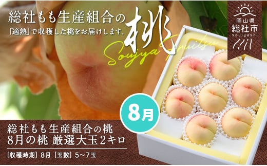 8月の桃（厳選大玉約2kg）岡山県総社もも生産組合【2025年産先行予約】25-050-003 1321880 - 岡山県総社市