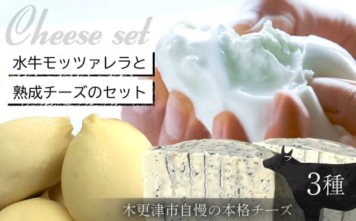 水牛モッツァレラと熟成チーズのセット / チーズ cheese モッツァレラ ブルーチーズ カチョカバッロ 水牛 ブランスイス 生乳 贅沢 熟成 ワイン ギフト 千葉県 木更津市  KCR001 1508037 - 千葉県木更津市