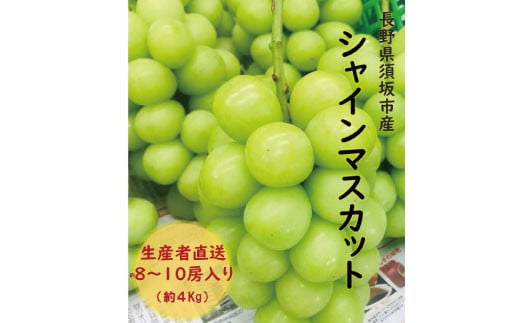 [No.5657-4141]須坂市産 シャインマスカット 約4kg (約8～10房)《やす乃フルーツ》■2025年発送■※9月上旬頃～10月下旬頃まで順次発送予定 1617294 - 長野県須坂市