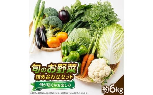 ＜発送月固定定期便＞〈春・秋・冬〉旬のお野菜詰め合わせセット6kg全3回【4059808】 1585777 - 徳島県藍住町