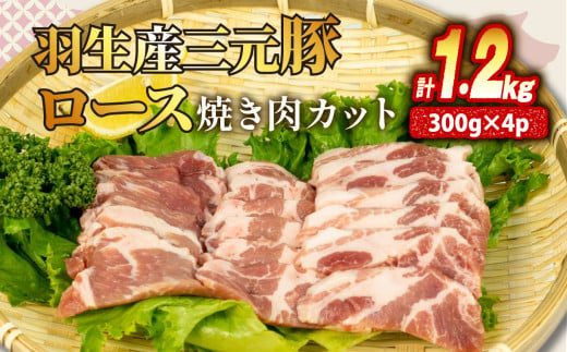 ロース 焼き肉 カット 1.2kg ( 300g × 4P） 国産 三元豚 冷凍 真空 小分け 個包装 たっぷり 大容量 大きめ 厚切り 豚肉 豚 ブタ ポーク ジューシー お弁当 おかず 惣菜 晩ごはん 贅沢 ギフト お中元 御中元 贈り物 贈答 埼玉県 羽生市 1425724 - 埼玉県羽生市