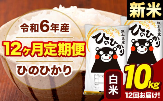 新米 令和6年産 【12ヶ月定期便】 早期先行予約受付中 白米 米 ひのひかり 10kg《お申し込み月の翌月から出荷開始》熊本県 大津町 国産 熊本県産 白米 送料無料 ヒノヒカリ こめ お米 839133 - 熊本県大津町