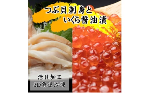 国産ツブ貝(刺身用)90g×3パック＜現地加工品＞と鮭卵いくら醤油漬け200g×1箱【1555642】 1510039 - 北海道斜里町