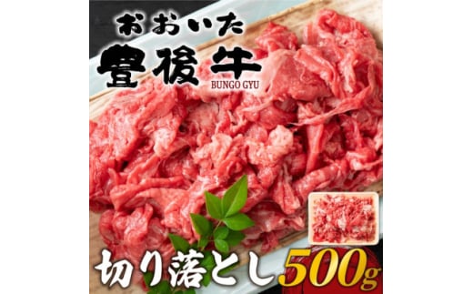 おおいた豊後牛切り落とし 500g(日出町)【1571543】 1585841 - 大分県日出町
