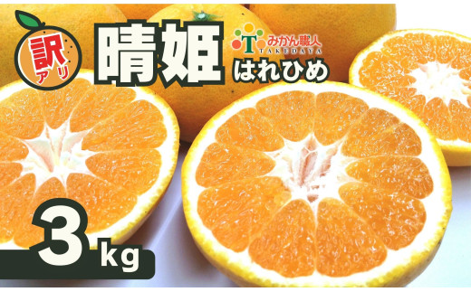 訳あり 晴姫 はれひめ 3kg みかん 蜜柑 柑橘 かんきつ 果物 くだもの ジュース 冬 旬 季節限定 期間限定 数量限定 厳選 産地直送 わけあり 訳あり 傷 きず サイズ混合 サイズミックス ふるさとチョイス ふるさと納税 ふるさと納税みかん チョイス 愛媛県 愛南町 みかん職人武田屋