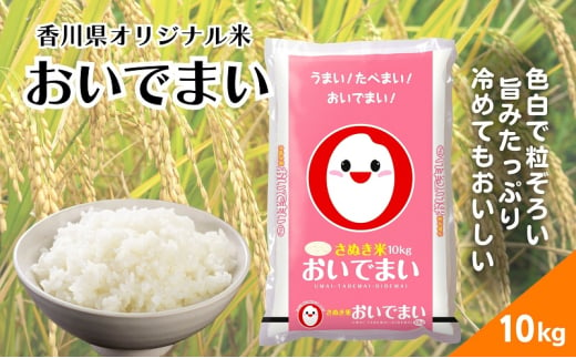 【令和6年産】香川県産 おいでまい 10kg 1袋　米 お米 精米  おいで米 粘り 旨み 1580966 - 香川県丸亀市