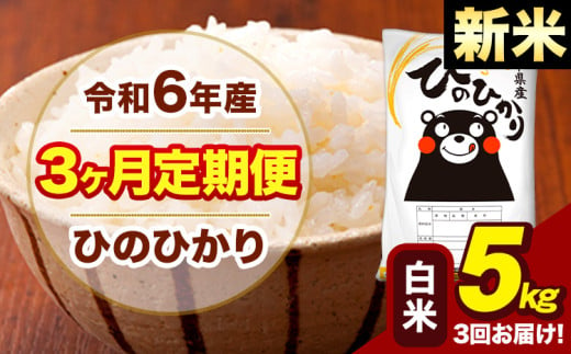 新米 令和6年産 【3ヶ月定期便】 早期先行予約受付中 白米 米 ひのひかり 5kg《お申し込み月の翌月から出荷開始》熊本県 大津町 国産 熊本県産 白米 送料無料 ヒノヒカリ こめ お米 1582526 - 熊本県大津町