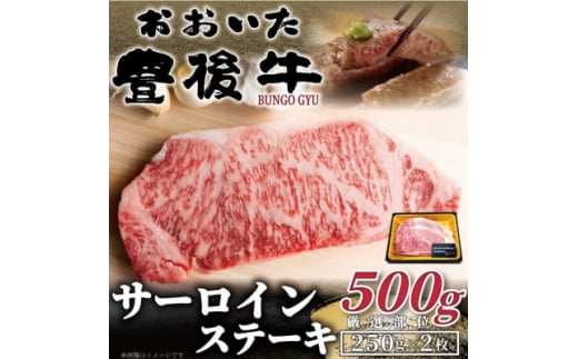 おおいた豊後牛サーロインステーキセット 500g(250g×2枚)(日出町)【1571527】 1585838 - 大分県日出町