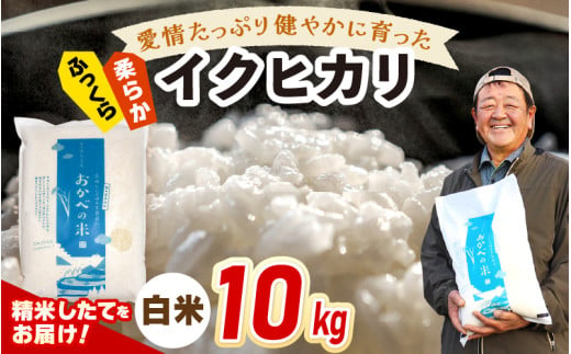 【年内配送】令和6年産 愛情たっぷり健やかに育った ふっくら 柔らか イクヒカリ（白米）10kg [m29-a004]