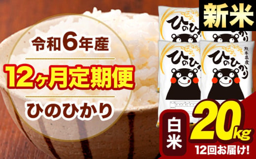 新米 令和6年産 【12ヶ月定期便】 早期先行予約受付中 白米 米 ひのひかり 20kg《お申し込み月の翌月から出荷開始》熊本県 大津町 国産 熊本県産 白米 送料無料 ヒノヒカリ こめ お米 1582756 - 熊本県大津町