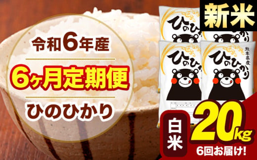 新米 令和6年産 【6ヶ月定期便】 早期先行予約受付中 白米 米 ひのひかり 20kg《お申し込み月の翌月から出荷開始》熊本県 大津町 国産 熊本県産 白米 送料無料 ヒノヒカリ こめ お米 1582737 - 熊本県大津町