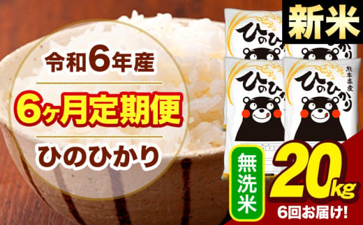 新米 令和6年産 【6ヶ月定期便】  早期先行予約受付中 無洗米 米 ひのひかり 20kg《お申し込み月の翌月から出荷開始》熊本県 大津町 国産 熊本県産 無洗米 送料無料 ヒノヒカリ こめ お米 1582743 - 熊本県大津町