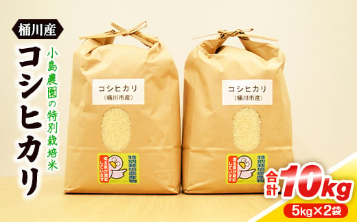 小島農園の特別栽培米　桶川産コシヒカリ　5kg×2袋【1357476】