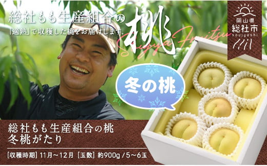 白桃「冬桃がたり」岡山県総社もも生産組合【2025年産先行予約】25-030-001 1325164 - 岡山県総社市