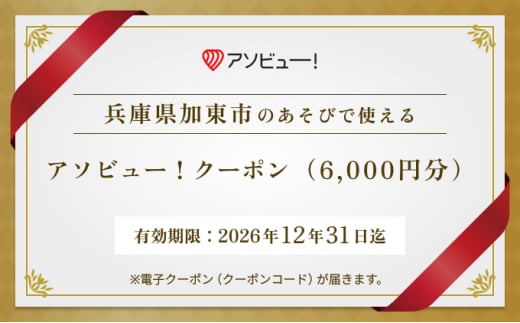 アソビュー！ ふるさと納税 クーポン 6,000円分【 兵庫県 加東市 】