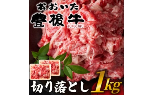 おおいた豊後牛切り落とし 1kg(500g×2P)(日出町)【1571547】 1585842 - 大分県日出町