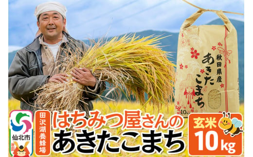 【玄米】秋田県産 あきたこまち 10kg 令和6年産 10キロ お米 仙北市