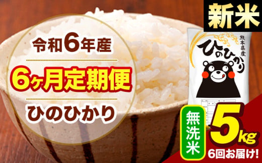 新米 令和6年産 【6ヶ月定期便】  早期先行予約受付中 無洗米 米 ひのひかり 5kg《お申し込み月の翌月から出荷開始》熊本県 大津町 国産 熊本県産 無洗米 送料無料 ヒノヒカリ こめ お米