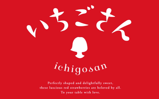 [2024年12月頃より出荷:佐賀県産いちご]大島さんが育てた「いちごさん」4パック